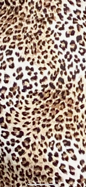 Leopard Luxe